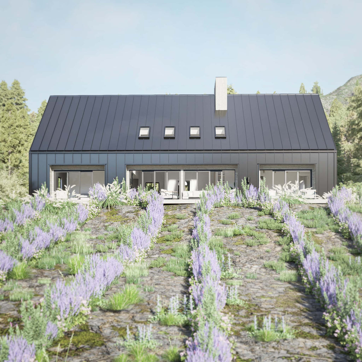Mini Rambler House Plan